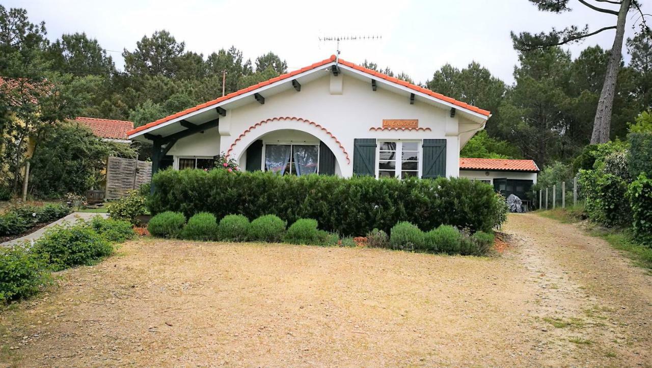 La Canopee Mimizan Bagian luar foto